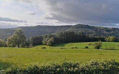 Pensamientos de septiembre: nos pide vivir en verdad…