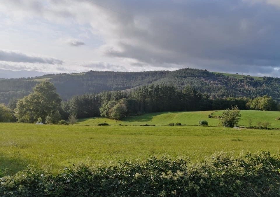 Pensamientos de septiembre: nos pide vivir en verdad…