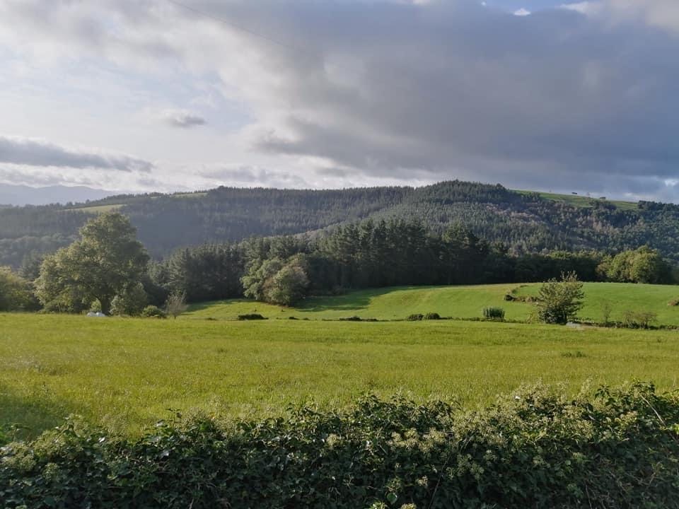 Pensamientos de septiembre: nos pide vivir en verdad…