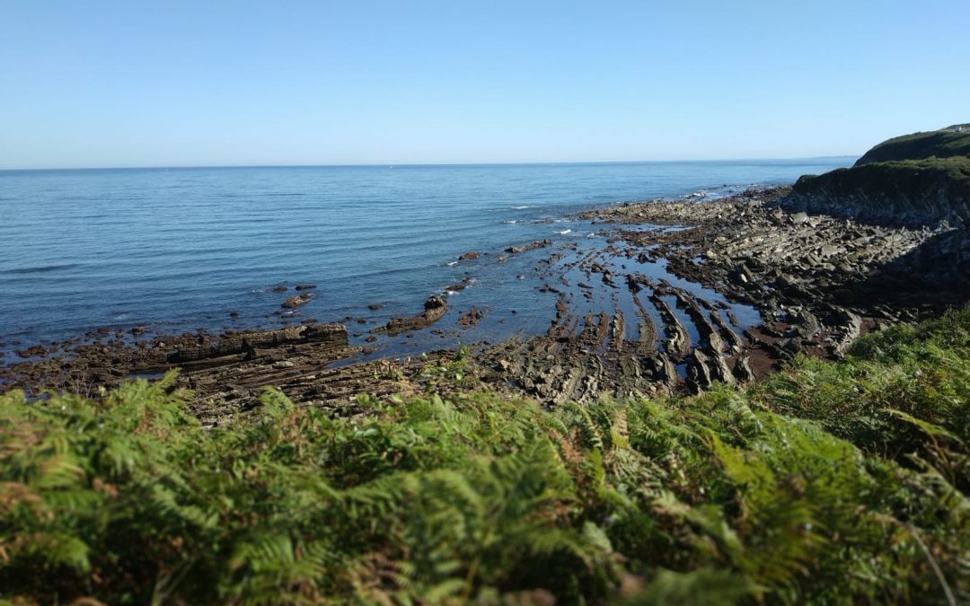 Pensamientos de septiembre: aportar algo precioso