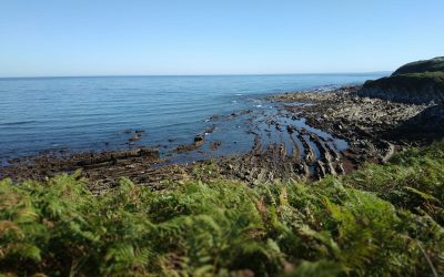 Pensamientos de septiembre: aportar algo precioso