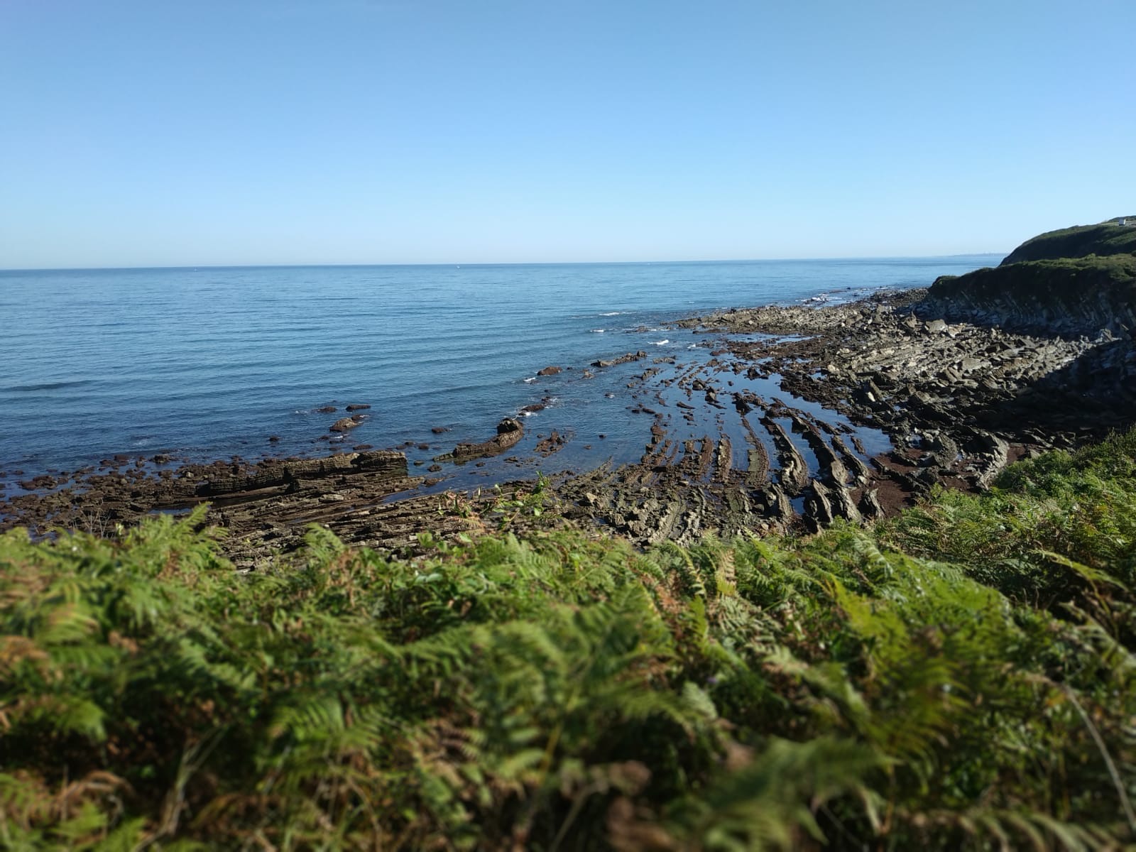 Pensamientos de septiembre: aportar algo precioso