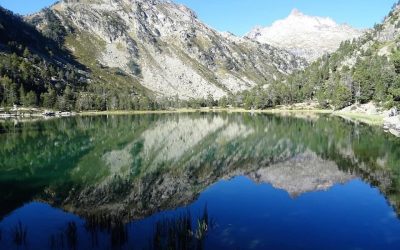 Pensamientos de septiembre: el amor a la verdad