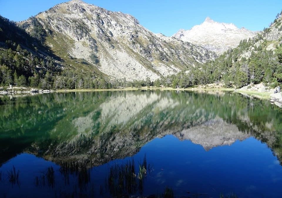 Pensamientos de septiembre: el amor a la verdad