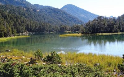 Pensamientos de septiembre: iluminad vuestros pensamientos