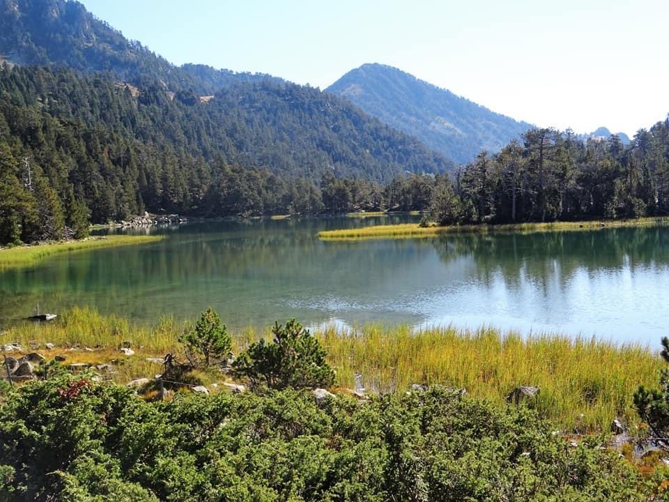 Pensamientos de septiembre: iluminad vuestros pensamientos