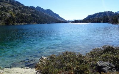 Pensamientos de septiembre: beber el agua pura