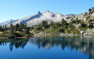 Pensamientos de septiembre: en silencio, calmado, tranquilo…