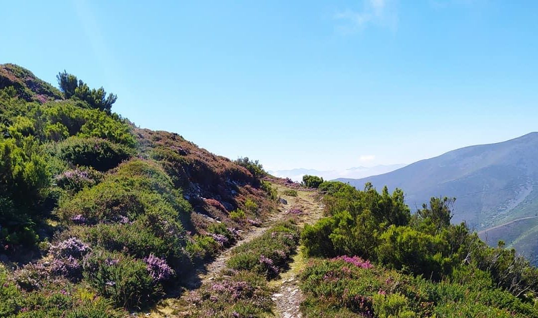 Pensamientos de septiembre: la habitación interior
