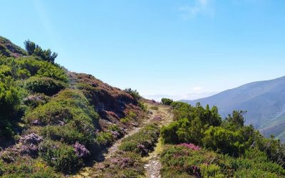 Pensamientos de septiembre: la habitación interior