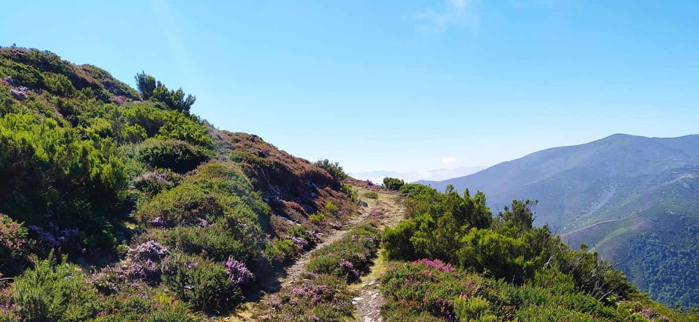 Pensamientos de septiembre: la habitación interior