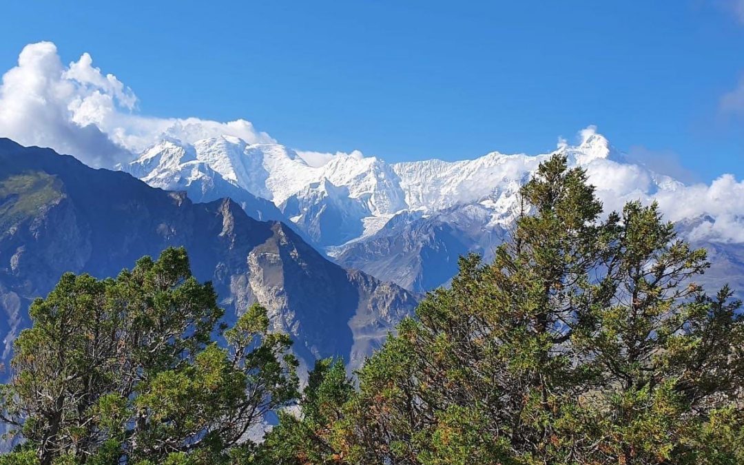 Pensamientos de septiembre: sentirse interiormente unido con el universo