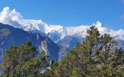 Pensamientos de septiembre: sentirse interiormente unido con el universo