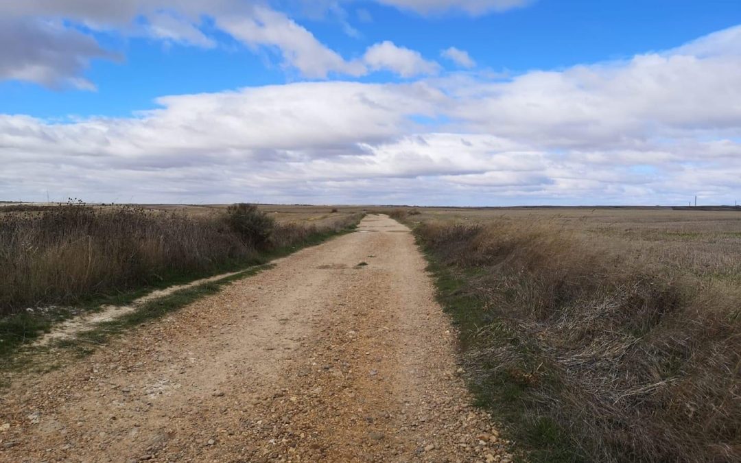 Pensamientos de octubre: aprended a amar y a cultivar el silencio