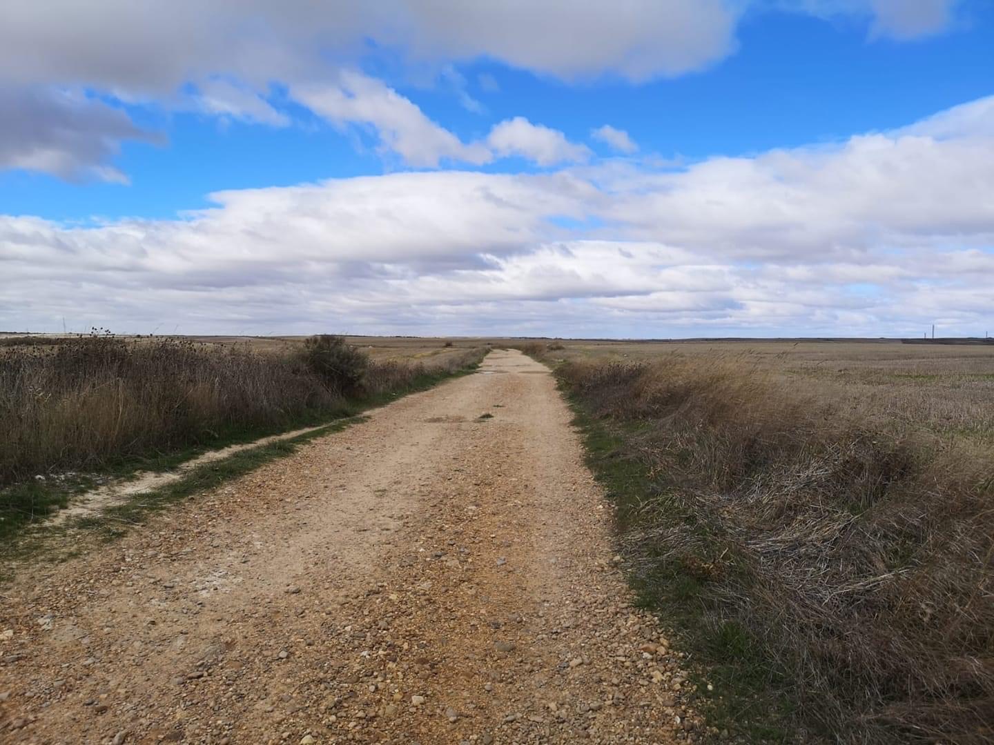 Pensamientos de octubre: aprended a amar y a cultivar el silencio