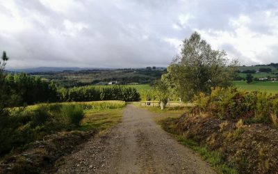 Pensamientos de octubre: Volveos a levantar…