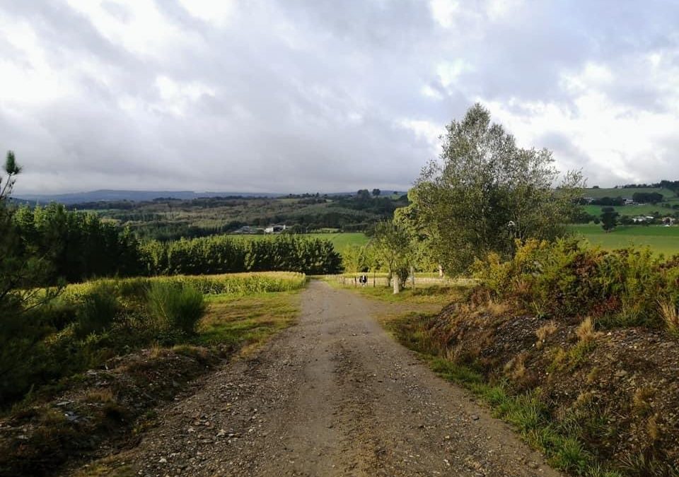 Pensamientos de octubre: Volveos a levantar…