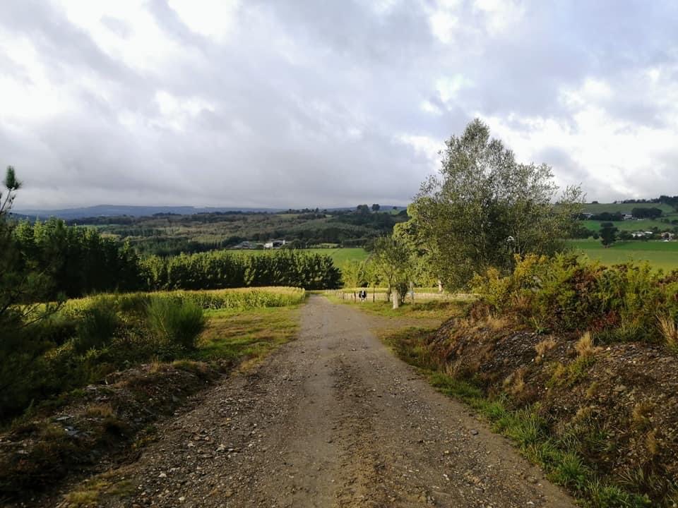 Pensamientos de octubre: Volveos a levantar…