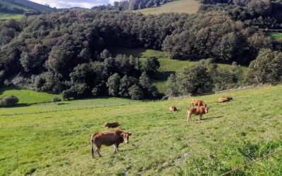 Pensamientos de octubre: dilatar la consciencia