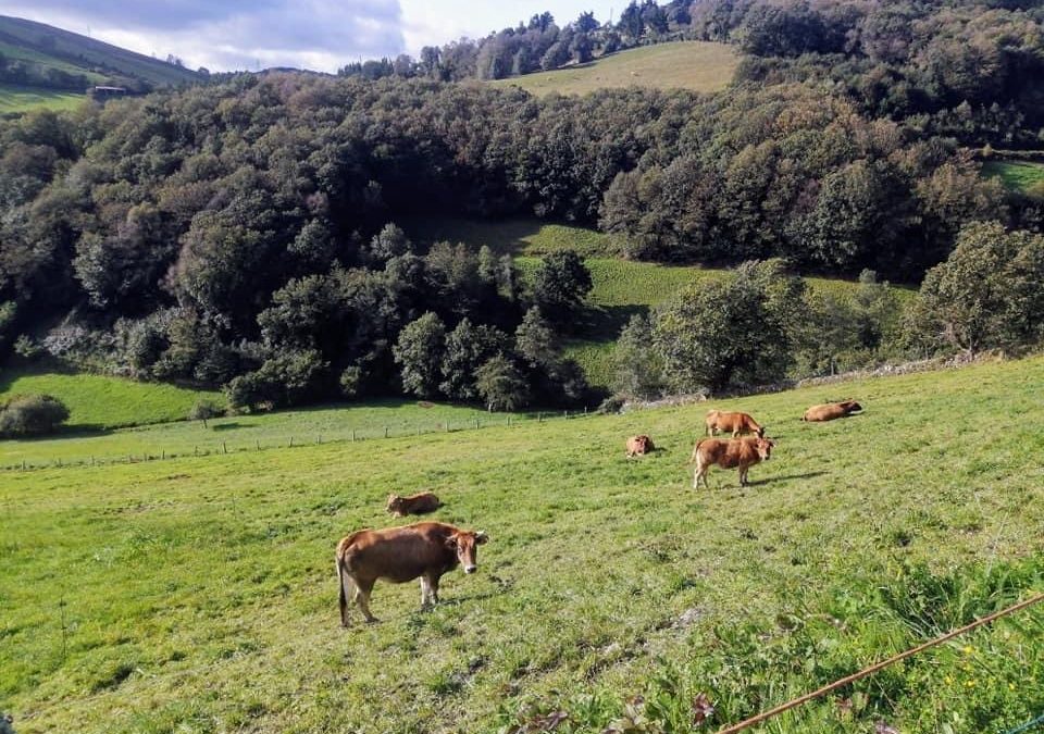 Pensamientos de octubre: dilatar la consciencia