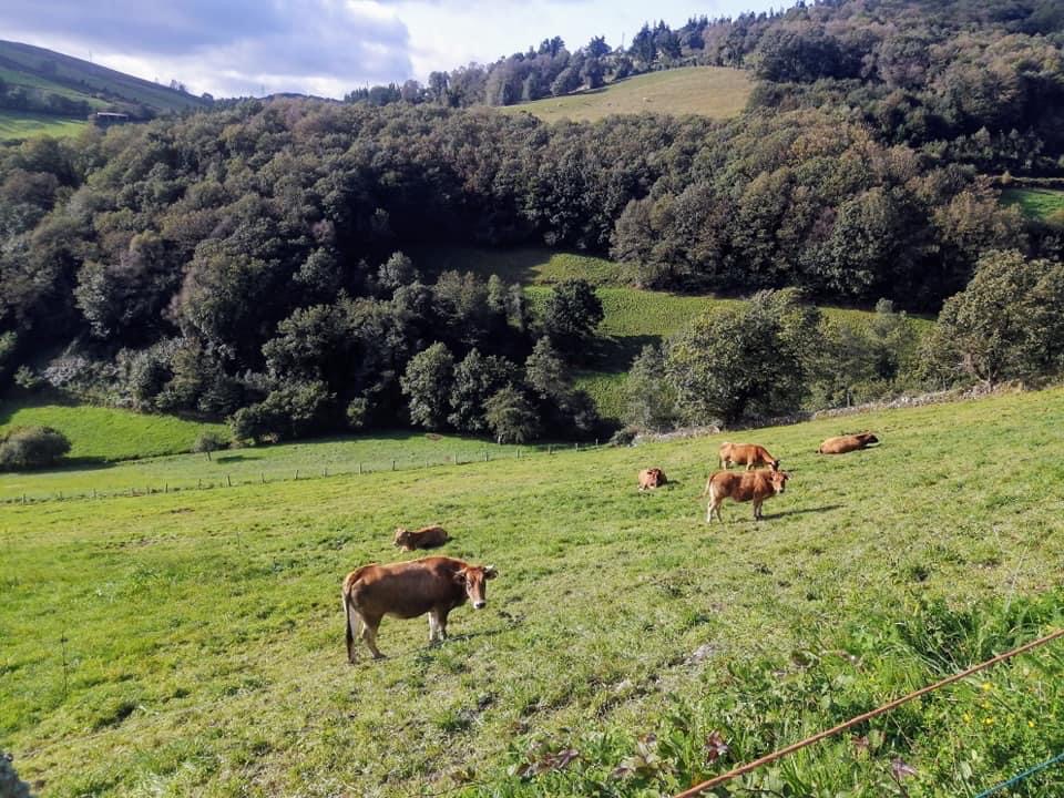 Pensamientos de octubre: dilatar la consciencia