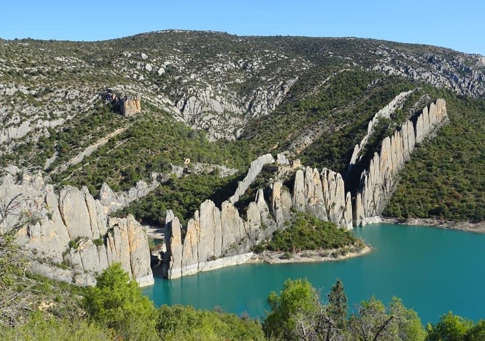 Pensamientos de octubre: cuida la pureza de tu mente y de tu corazón
