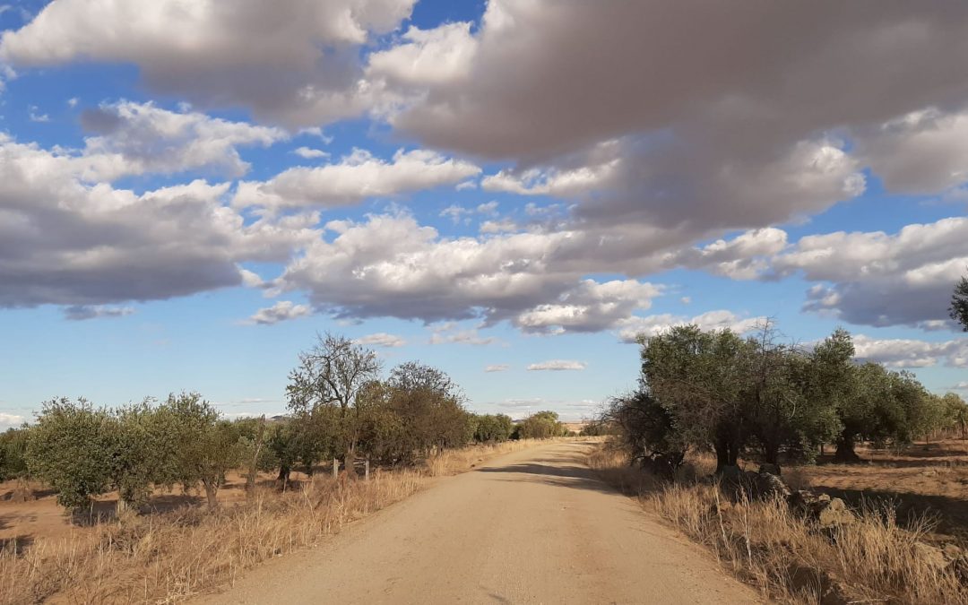 Pensamientos de octubre: el camino medio