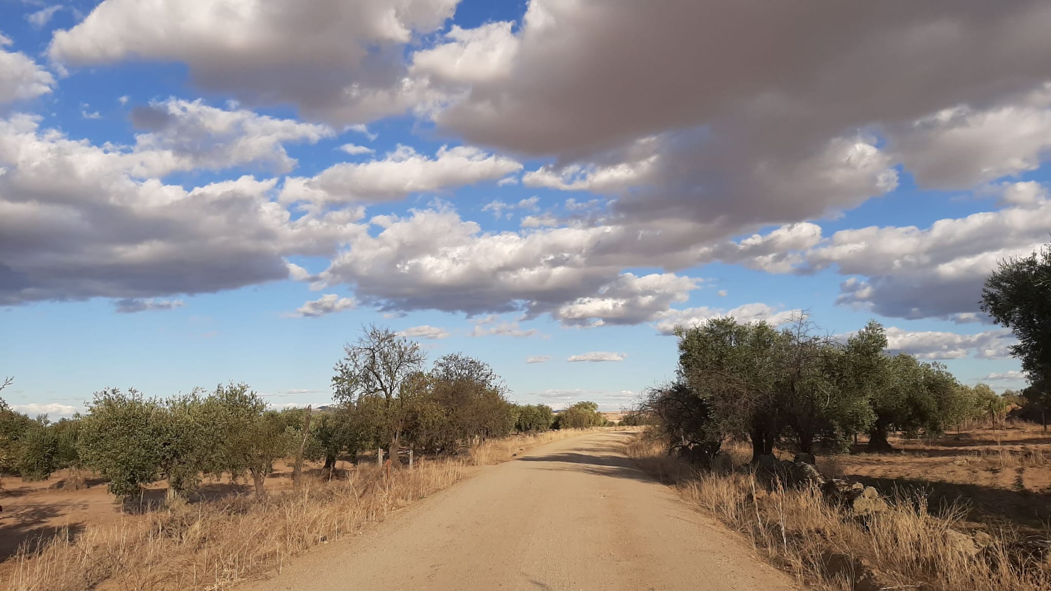 Pensamientos de octubre: el camino medio