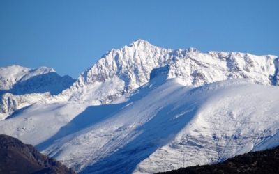 Pensamientos de noviembre: perder la vida para encontrar la vida