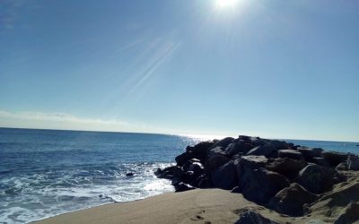 Pensamientos de noviembre: tratad de concentraros en el Principio divino, inmortal, eterno