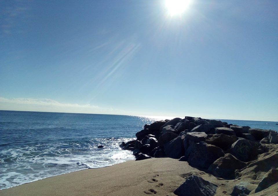 Pensamientos de noviembre: tratad de concentraros en el Principio divino, inmortal, eterno