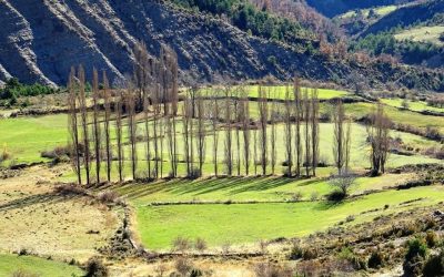 Pensamientos de noviembre: transformate a ti mismo…