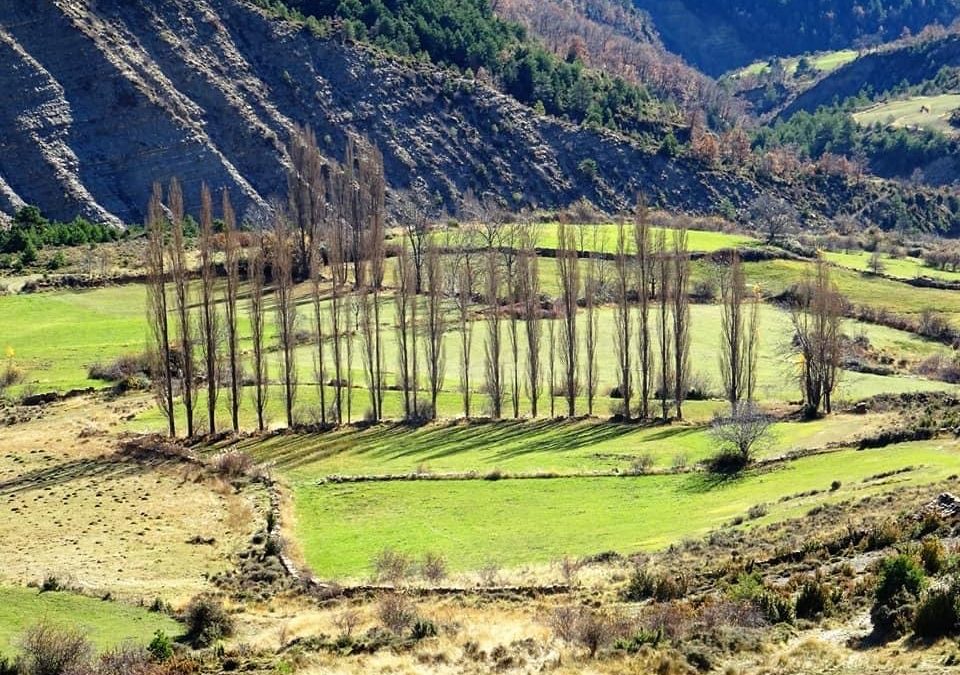 Pensamientos de noviembre: transformate a ti mismo…