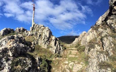 Pensamientos de noviembre: la semilla