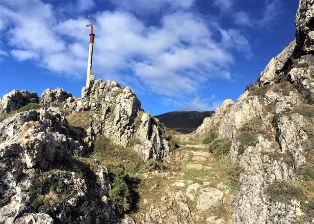 Pensamientos de noviembre: la semilla