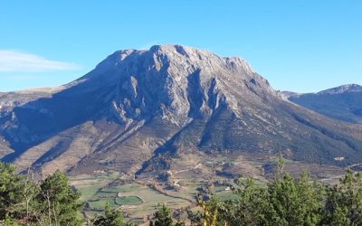 Pensamientos de noviembre: los amigos del mundo invisible