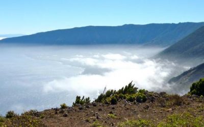 Pensamientos de noviembre: dar como el sol