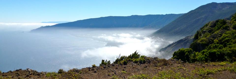 Pensamientos de noviembre: dar como el sol