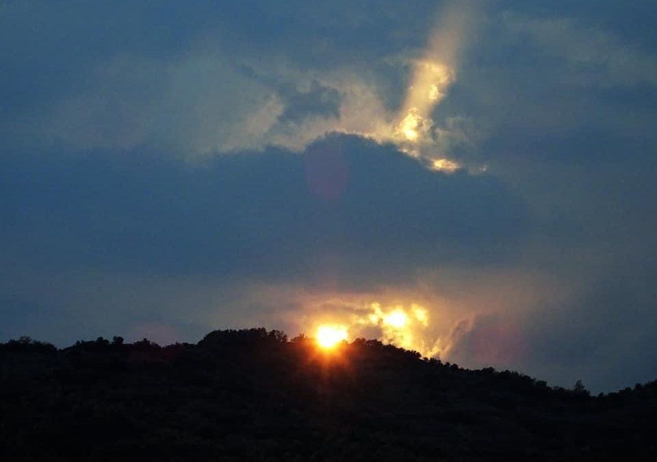 Pensamientos de noviembre: las actividades liberadoras del alma