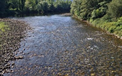 Pensamientos de noviembre: la voz del silencio