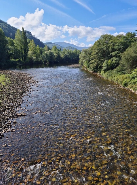 Pensamientos de noviembre: la voz del silencio