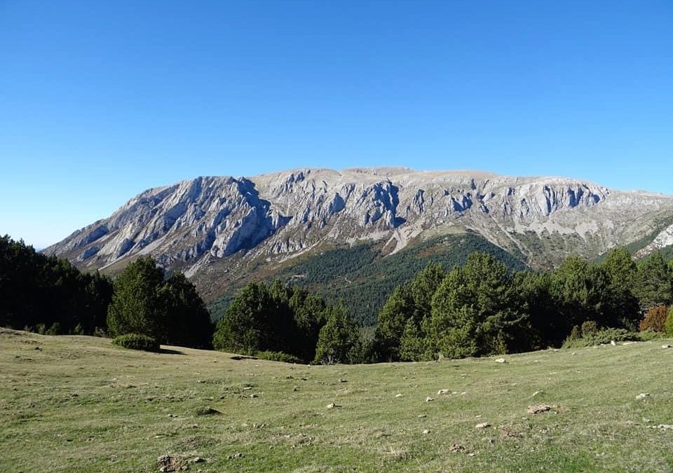 Pensamientos de noviembre: planta semillas…