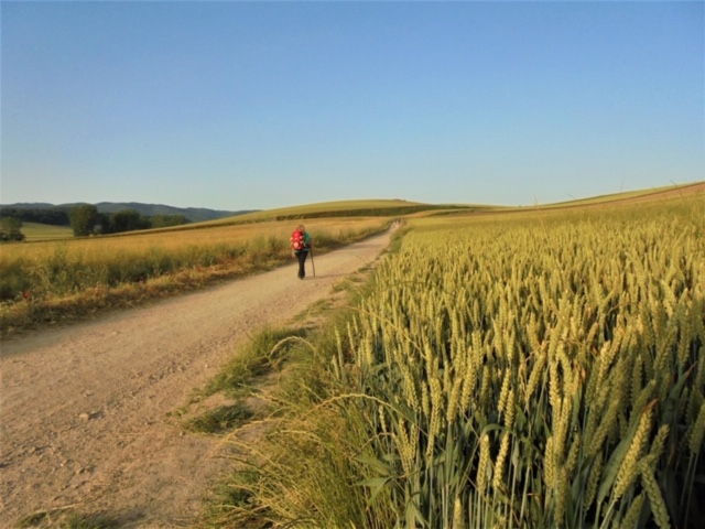 Pensamientos de diciembre: palabras mágicas
