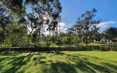 Pensamientos de diciembre: el trabajo del Espíritu