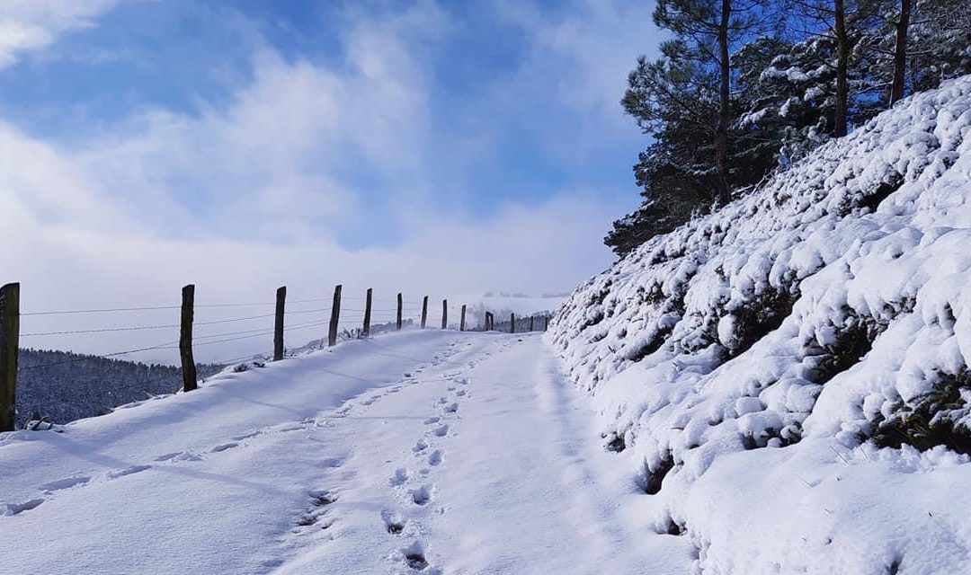 Pensamientos de diciembre: lo divino que nos habla