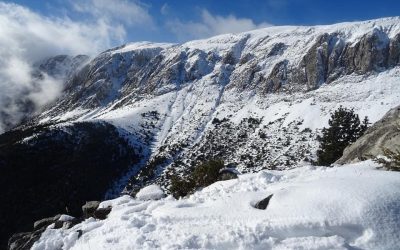 Pensamientos de diciembre: purificar el pensamiento