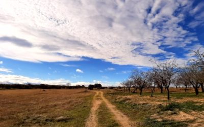 Pensamientos de diciembre: escuchar la voz de Dios