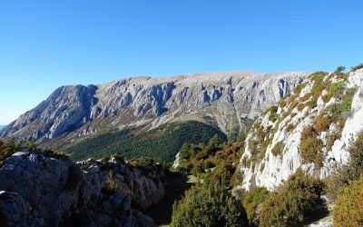Pensamientos de diciembre: Mis Bendiciones sean contigo