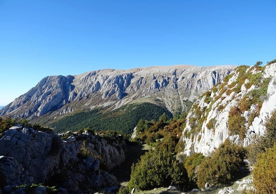 Pensamientos de diciembre: Mis Bendiciones sean contigo