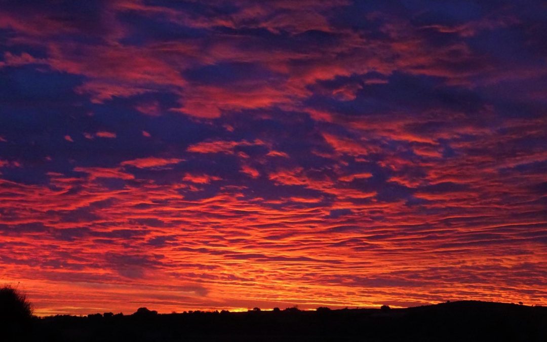 Pensamientos de enero: comenzar el año con bendiciones